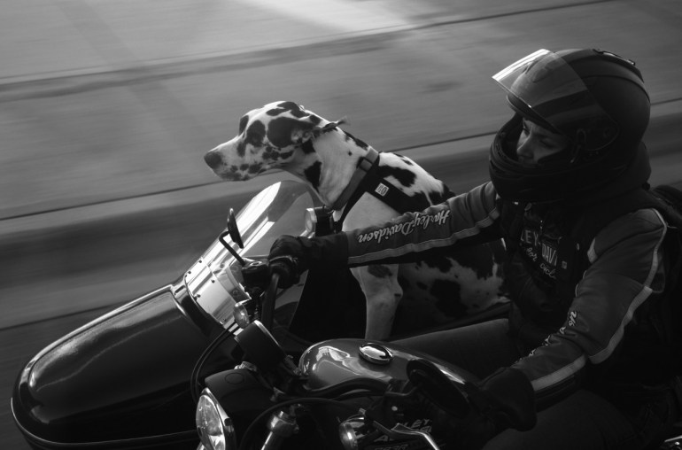 tumblr_nundpqtKlO1qzzvhyo1_1280